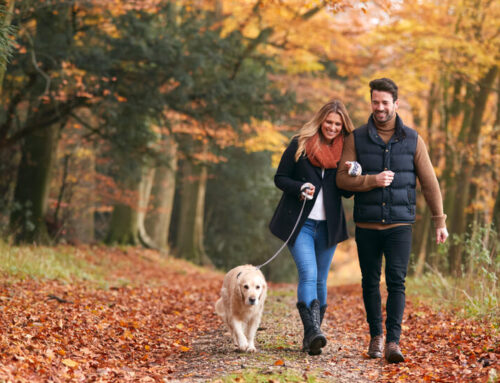 Best Autumn Activities to Naturally Ease Chronic Pain