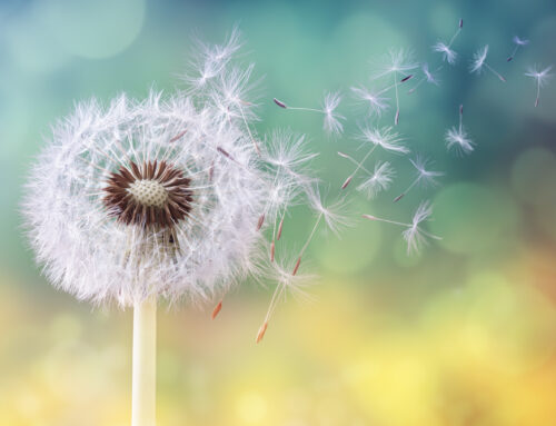 Discover How Managing Allergies May Ease Head and Neck Discomfort